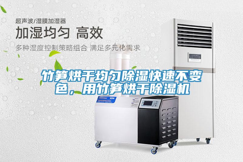 竹筍烘干均勻除濕快速不變色，用竹筍烘干除濕機(jī)