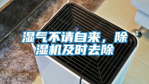 濕氣不請自來，除濕機(jī)及時去除