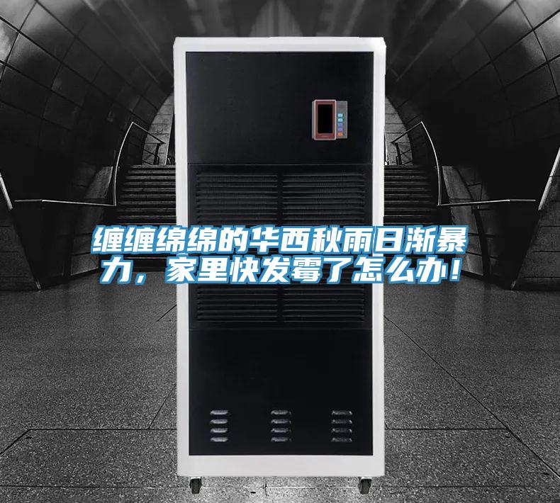 纏纏綿綿的華西秋雨日漸暴力，家里快發(fā)霉了怎么辦！