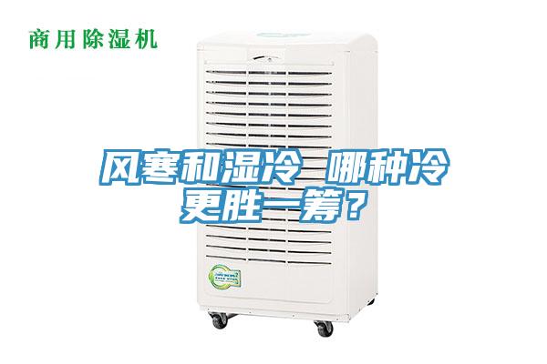 風(fēng)寒和濕冷 哪種冷更勝一籌？