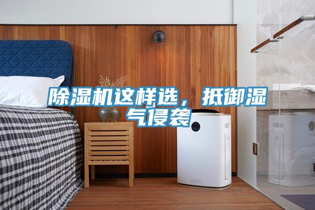 除濕機這樣選，抵御濕氣侵襲