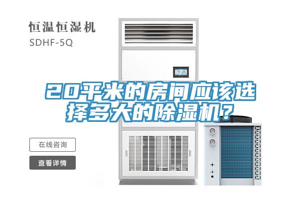 20平米的房間應(yīng)該選擇多大的除濕機(jī)？