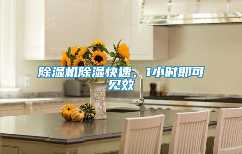 除濕機(jī)除濕快速，1小時即可見效