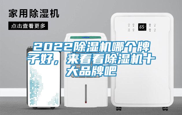 2022除濕機(jī)哪個牌子好，來看看除濕機(jī)十大品牌吧