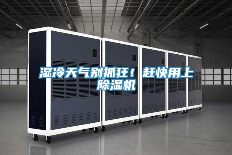 濕冷天氣別抓狂！趕快用上除濕機(jī)