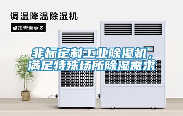 非標(biāo)定制工業(yè)除濕機(jī)，滿足特殊場所除濕需求