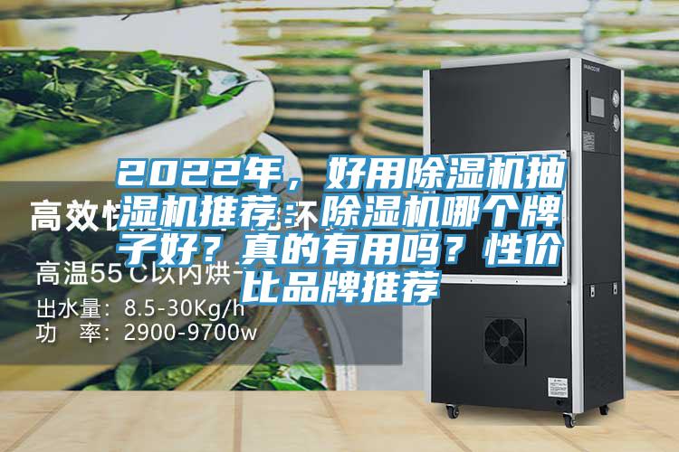 2022年，好用除濕機(jī)抽濕機(jī)推薦：除濕機(jī)哪個牌子好？真的有用嗎？性價比品牌推薦