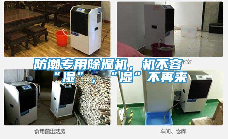 防潮專用除濕機(jī)，機(jī)不容“濕”，“濕”不再來