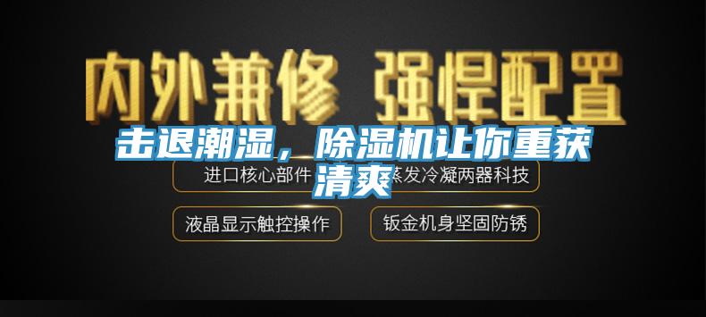 擊退潮濕，除濕機(jī)讓你重獲清爽