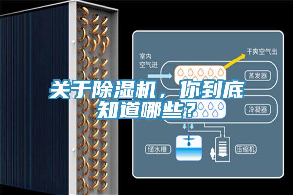 關(guān)于除濕機(jī)，你到底知道哪些？