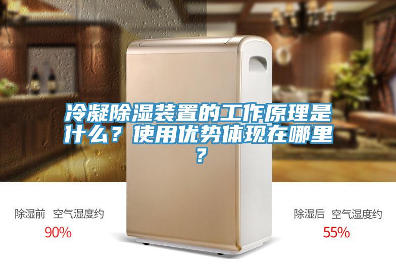 冷凝除濕裝置的工作原理是什么？使用優(yōu)勢體現(xiàn)在哪里？