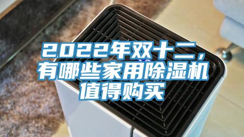 2022年雙十二，有哪些家用除濕機(jī)值得購(gòu)買