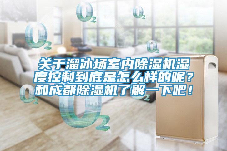 關(guān)于溜冰場室內(nèi)除濕機(jī)濕度控制到底是怎么樣的呢？和成都除濕機(jī)了解一下吧！