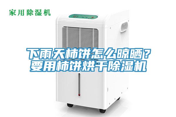 下雨天柿餅怎么晾曬？要用柿餅烘干除濕機(jī)