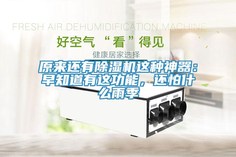 原來還有除濕機(jī)這種神器：早知道有這功能，還怕什么雨季