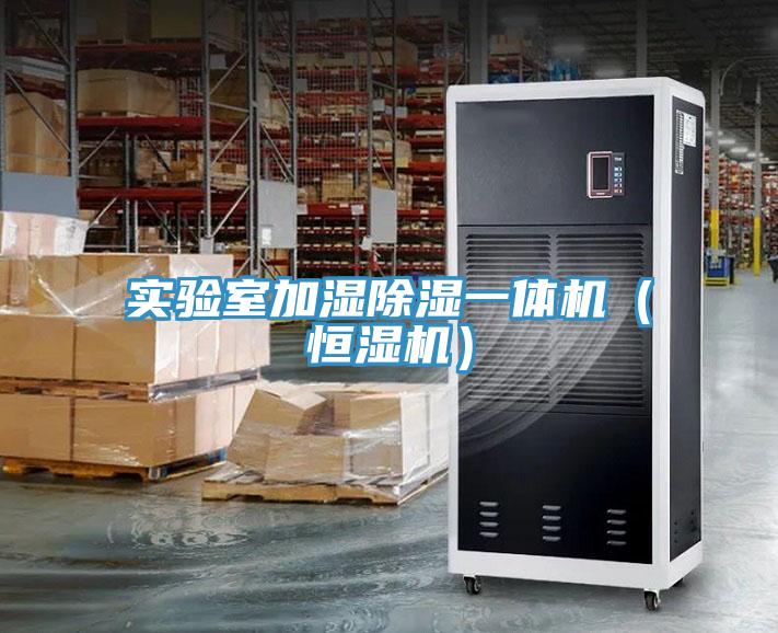 實驗室加濕除濕一體機(jī)（恒濕機(jī)）
