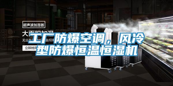 工廠防爆空調(diào)，風(fēng)冷型防爆恒溫恒濕機(jī)