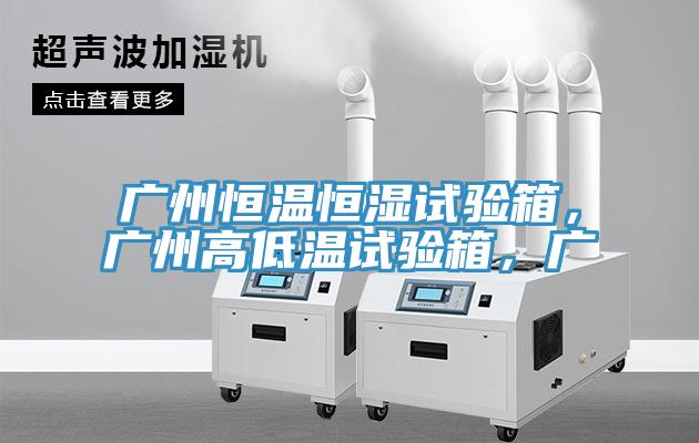 廣州恒溫恒濕試驗(yàn)箱，廣州高低溫試驗(yàn)箱，廣