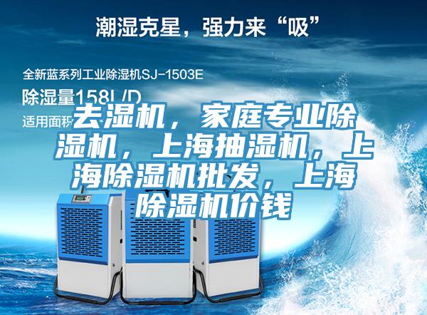 去濕機，家庭專業(yè)除濕機，上海抽濕機，上海除濕機批發(fā)，上海除濕機價錢