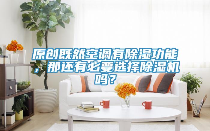原創(chuàng)既然空調有除濕功能，那還有必要選擇除濕機嗎？