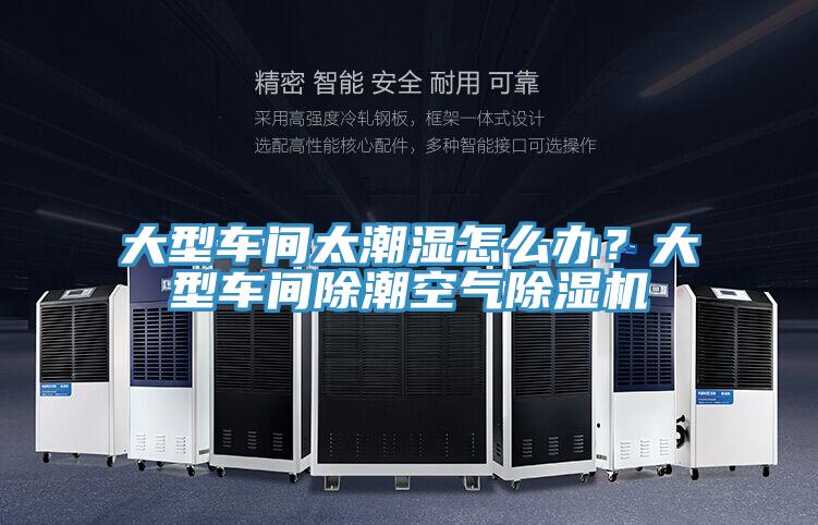 大型車間太潮濕怎么辦？大型車間除潮空氣除濕機