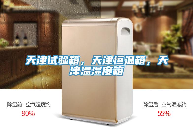 天津試驗(yàn)箱，天津恒溫箱，天津溫濕度箱