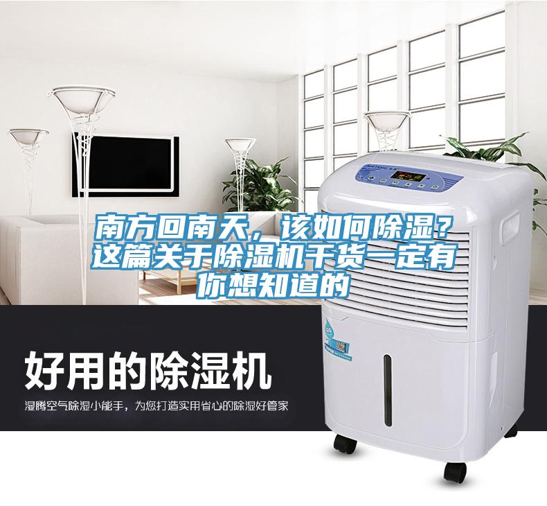 南方回南天，該如何除濕？這篇關(guān)于除濕機(jī)干貨一定有你想知道的