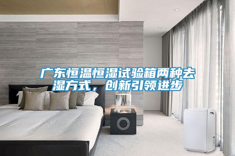 廣東恒溫恒濕試驗(yàn)箱兩種去濕方式，創(chuàng)新引領(lǐng)進(jìn)步