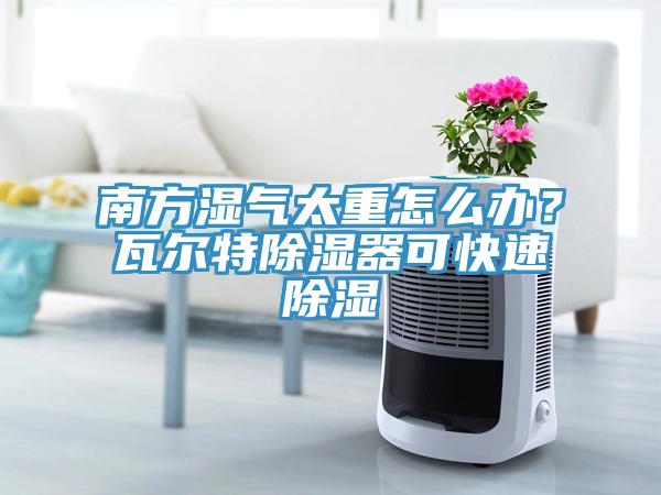 南方濕氣太重怎么辦？瓦爾特除濕器可快速除濕