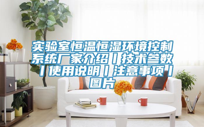 實驗室恒溫恒濕環(huán)境控制系統(tǒng)廠家介紹丨技術參數(shù)丨使用說明丨注意事項丨圖片