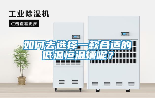 如何去選擇一款合適的低溫恒溫槽呢？