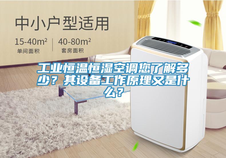 工業(yè)恒溫恒濕空調您了解多少？其設備工作原理又是什么？