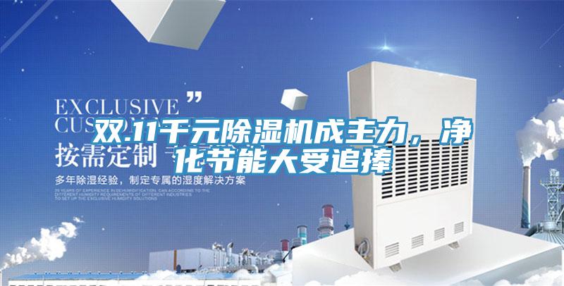 雙.11千元除濕機(jī)成主力，凈化節(jié)能大受追捧