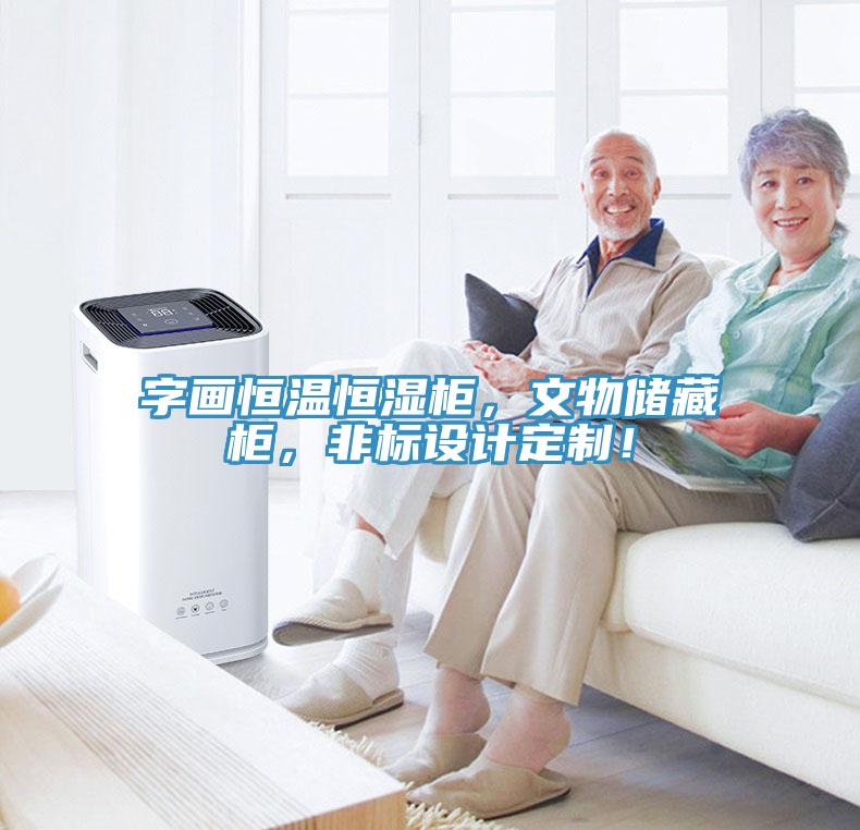 字畫恒溫恒濕柜，文物儲(chǔ)藏柜，非標(biāo)設(shè)計(jì)定制！