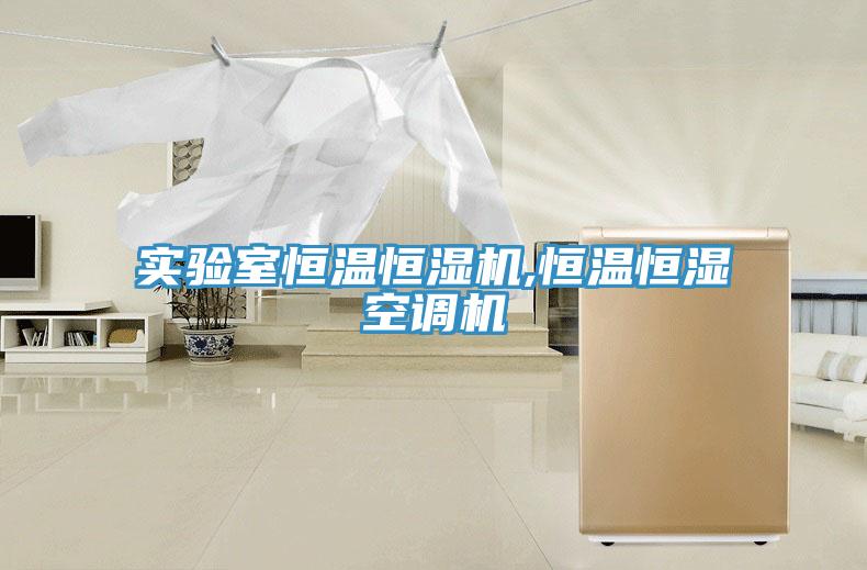 實驗室恒溫恒濕機(jī),恒溫恒濕空調(diào)機(jī)