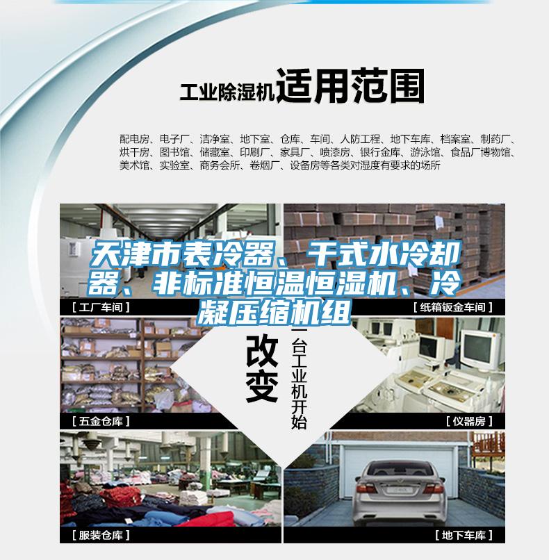 天津市表冷器、干式水冷卻器、非標(biāo)準(zhǔn)恒溫恒濕機(jī)、冷凝壓縮機(jī)組