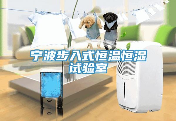 寧波步入式恒溫恒濕試驗室