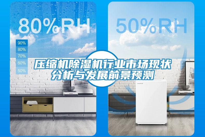壓縮機除濕機行業(yè)市場現狀分析與發(fā)展前景預測