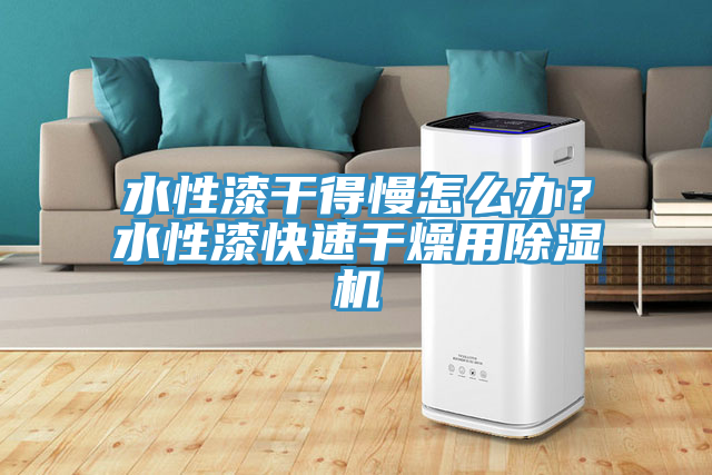 水性漆干得慢怎么辦？水性漆快速干燥用除濕機