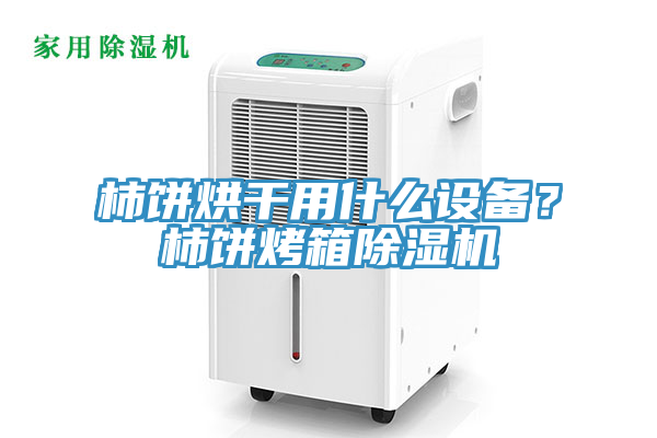 柿餅烘干用什么設(shè)備？柿餅烤箱除濕機