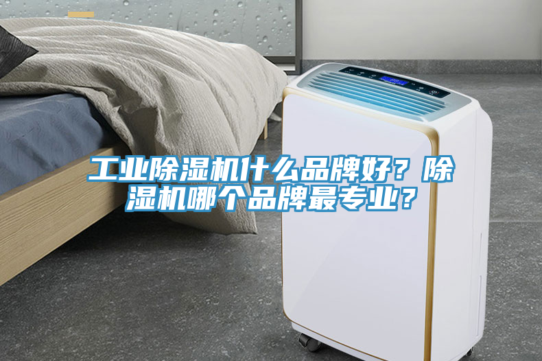 工業(yè)除濕機什么品牌好？除濕機哪個品牌最專業(yè)？