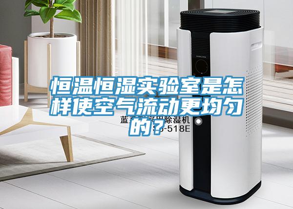 恒溫恒濕實(shí)驗(yàn)室是怎樣使空氣流動(dòng)更均勻的？