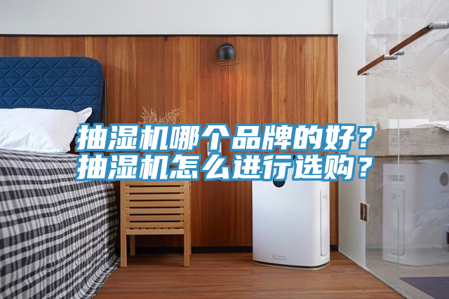 抽濕機(jī)哪個(gè)品牌的好？抽濕機(jī)怎么進(jìn)行選購？
