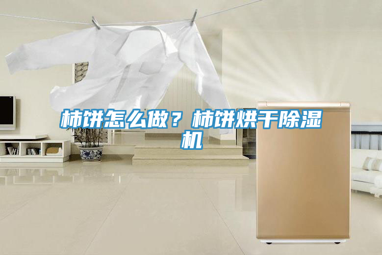 柿餅怎么做？柿餅烘干除濕機