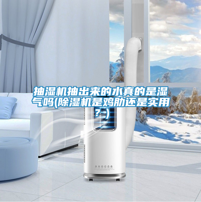 抽濕機(jī)抽出來的水真的是濕氣嗎(除濕機(jī)是雞肋還是實用？)