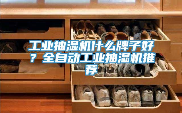 工業(yè)抽濕機(jī)什么牌子好？全自動(dòng)工業(yè)抽濕機(jī)推薦