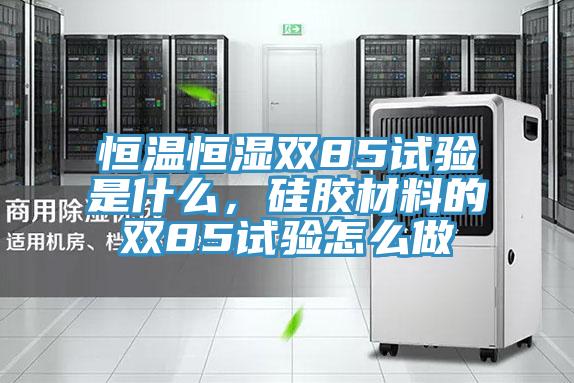 恒溫恒濕雙85試驗是什么，硅膠材料的雙85試驗怎么做