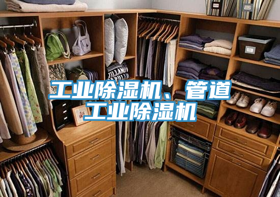 工業(yè)除濕機(jī)、管道工業(yè)除濕機(jī)