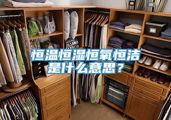 恒溫恒濕恒氧恒潔是什么意思？