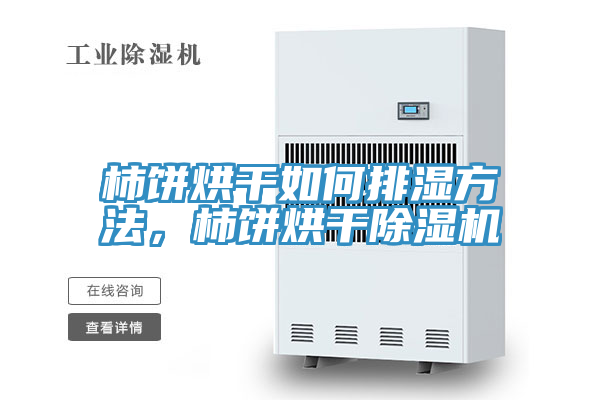 柿餅烘干如何排濕方法，柿餅烘干除濕機